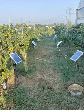 2021湖北宜昌管式墑情監測